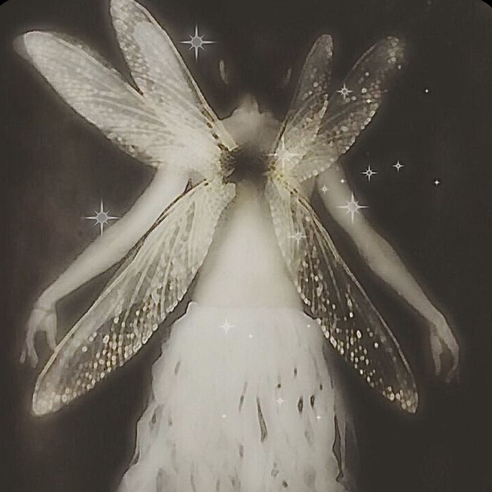 Meet your Posher, Jillian